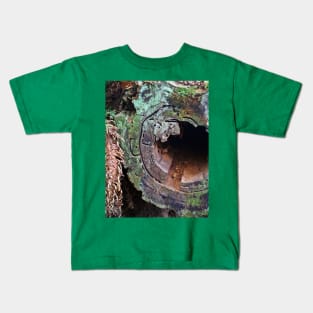 Deception Pass Hollow Log Kids T-Shirt